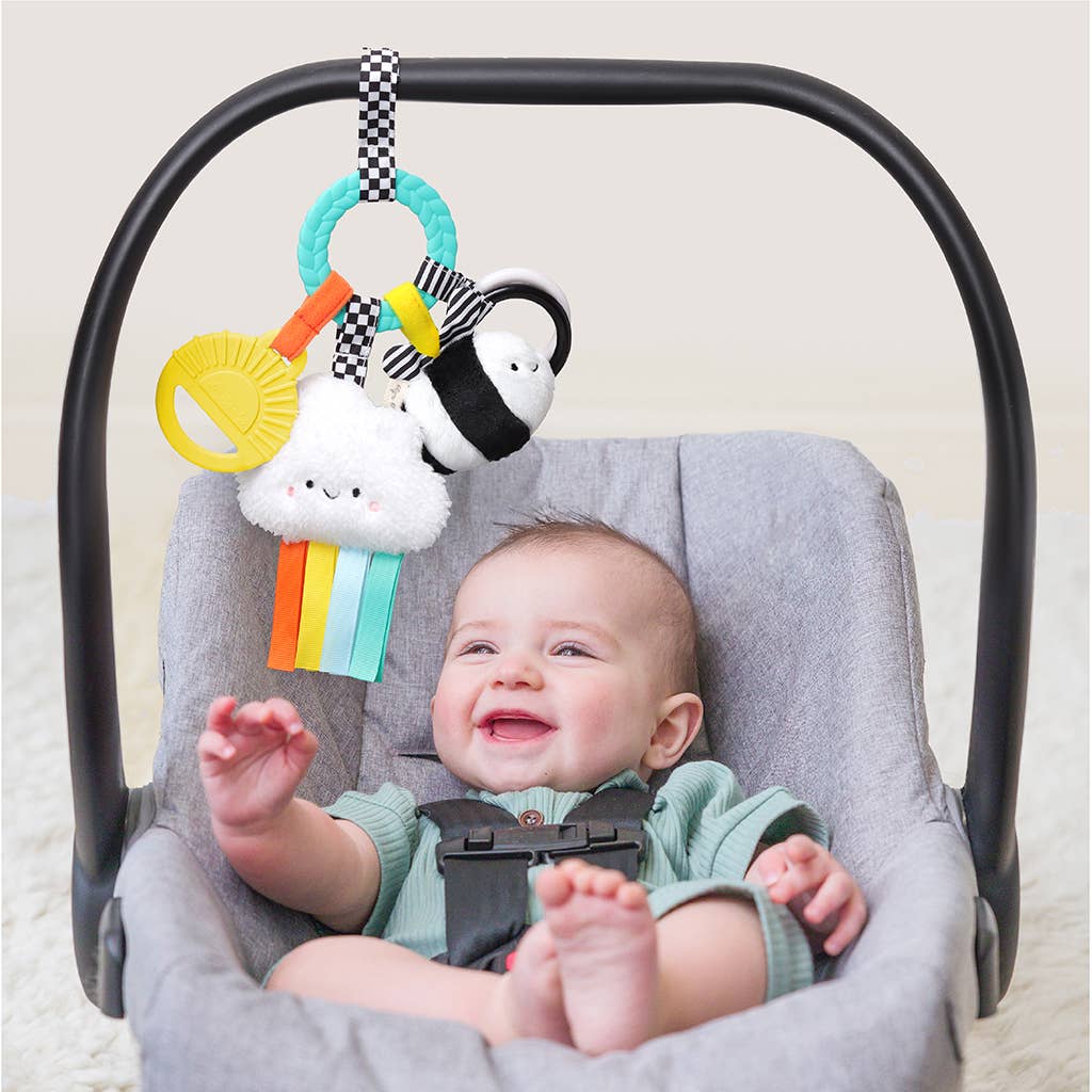 Bitzy Busy Ring Teething Toy